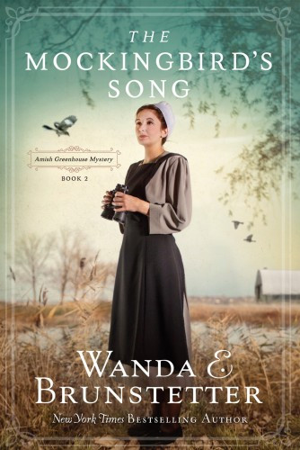 The Mockingbirds Song Wanda E Brunstetter