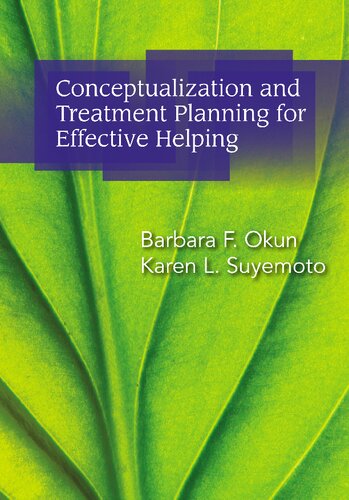 Conceptualization And Intervention Skills For Effective Helping 1st Edition Barbara F Okun