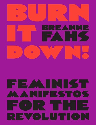 Burn It Down Feminist Manifestos For The Revolution Breanne Fahs