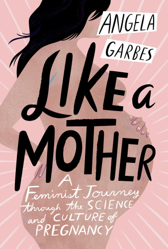 Like A Mother A Feminist Journey Through The Science And Culture Of Pregnancy First Edition Garbes