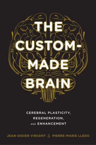 The Custommade Brain Cerebral Plasticity Regeneration And Enhancement Garey