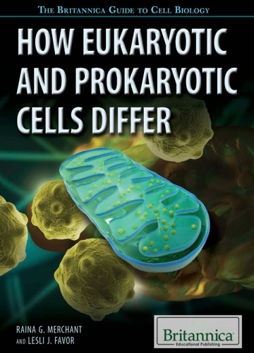How Eukaryotic And Prokaryotic Cells Differ Favor Lesli Jmerchant