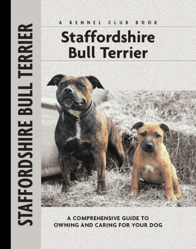 Staffordshire Bull Terrier Frome Jane Hogg