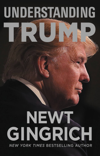 Understanding Trump Gingrich Newt