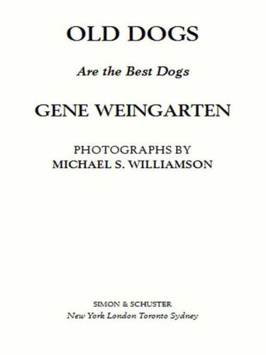 Old Dogs Are The Best Dogs Gene Weingartenmichael S Williamson