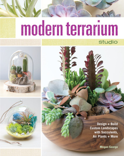 Modern Terrarium Studio Design Build Custom Landscapes With Succulents Air Plants More Megan George