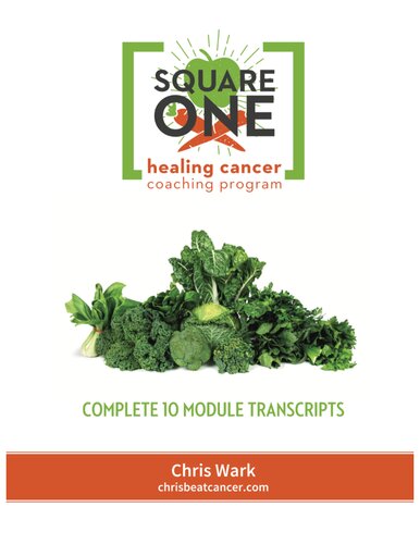 Square One Healing Cancer Coaching Program Complete Transcripts Chris Beat Cancer A Comprehensive Plan For Healing Naturally Chris Beat Cancer Chris Wark