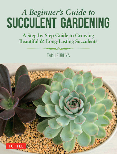 A Beginners Guide To Succulent Gardening A Stepbystep Guide To Growing Beautiful Longlasting Succulents Furuya