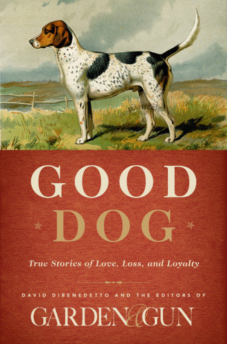 Good Dog True Stories Of Love Loss And Loyalty Danny Campbell David Dibenedetto
