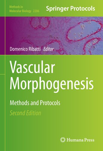 Vascular Morphogenesis Methods And Protocols 2nd Edition Domenico Ribatti