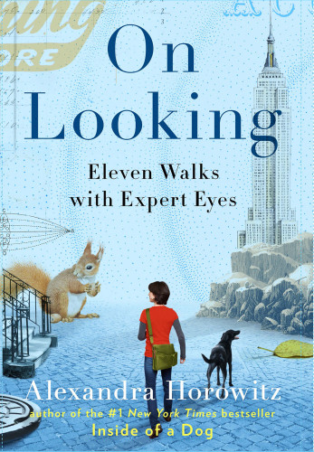 On Looking A Walkers Guide To The Art Of Observation Horowitz