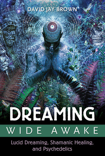 Dreaming Wide Awake Lucid Dreaming Shamanic Healing And Psychedelics 1st Edition David Jay Brown