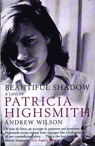 Beautiful Shadow Andrew Wilson