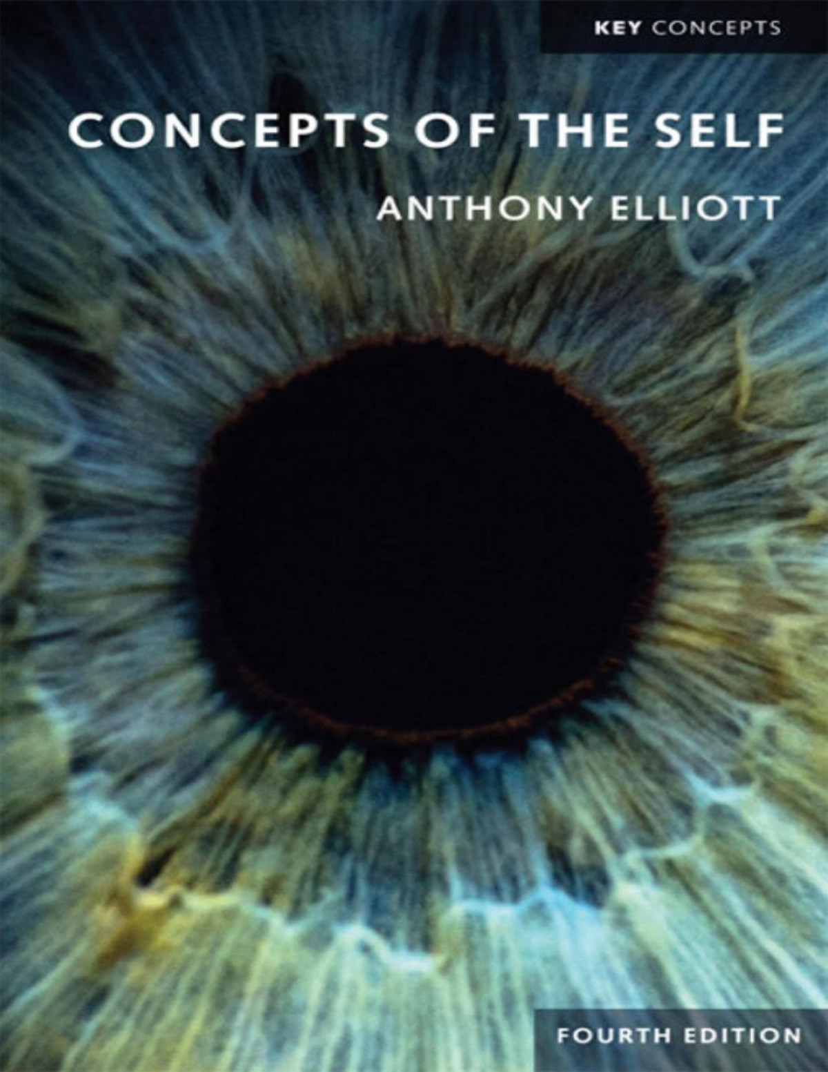 Concepts Of The Self Key Concepts Anthony Elliott Elliott