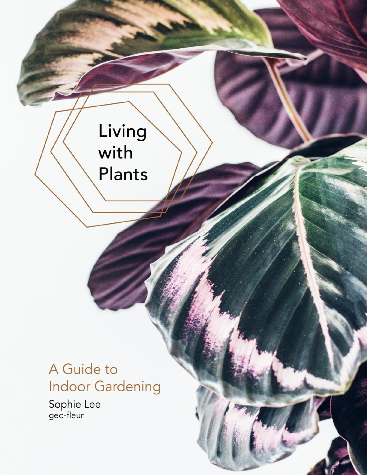 Living With Plants Sophie Lee