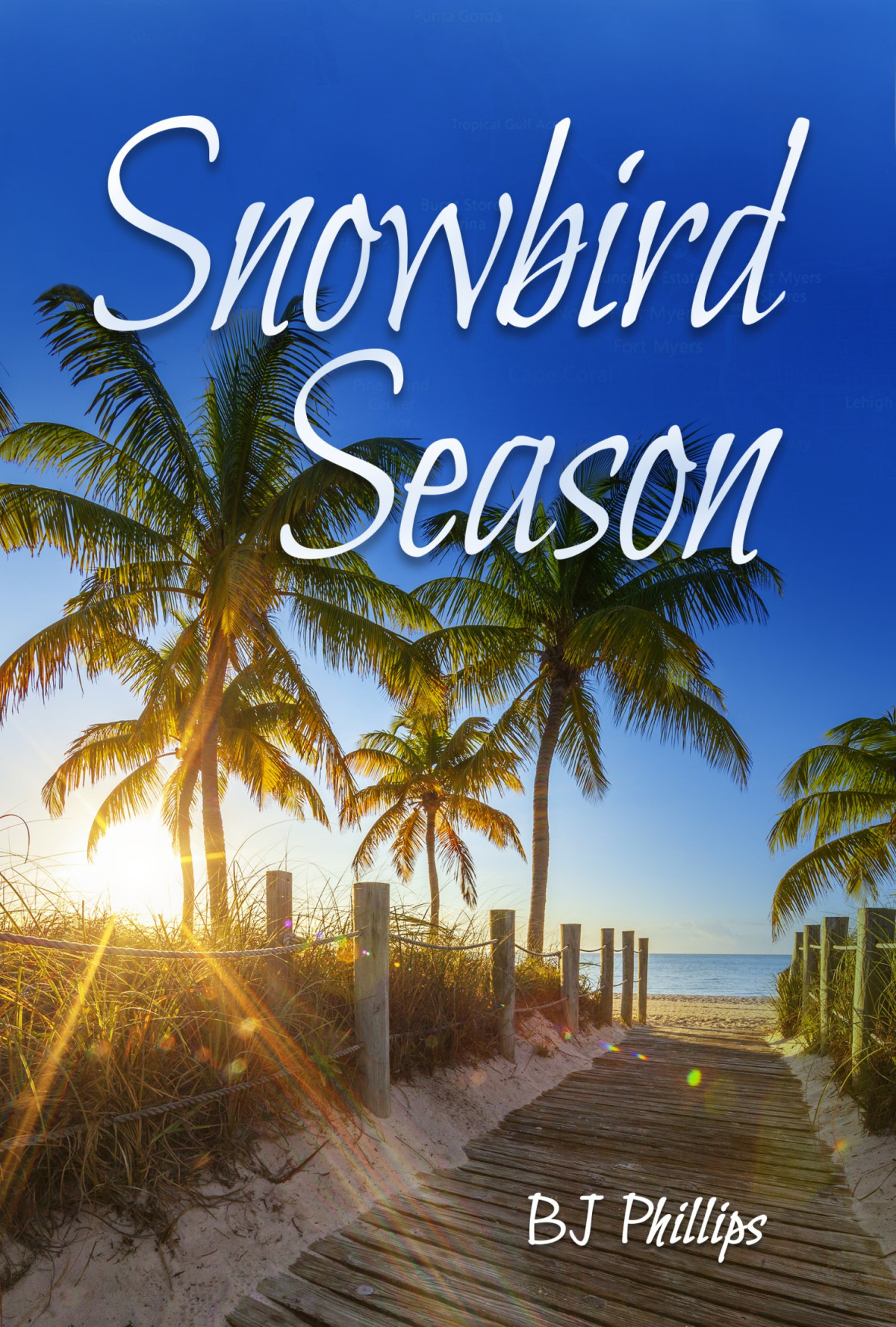Snowbird Season B J Phillips Phillips B J