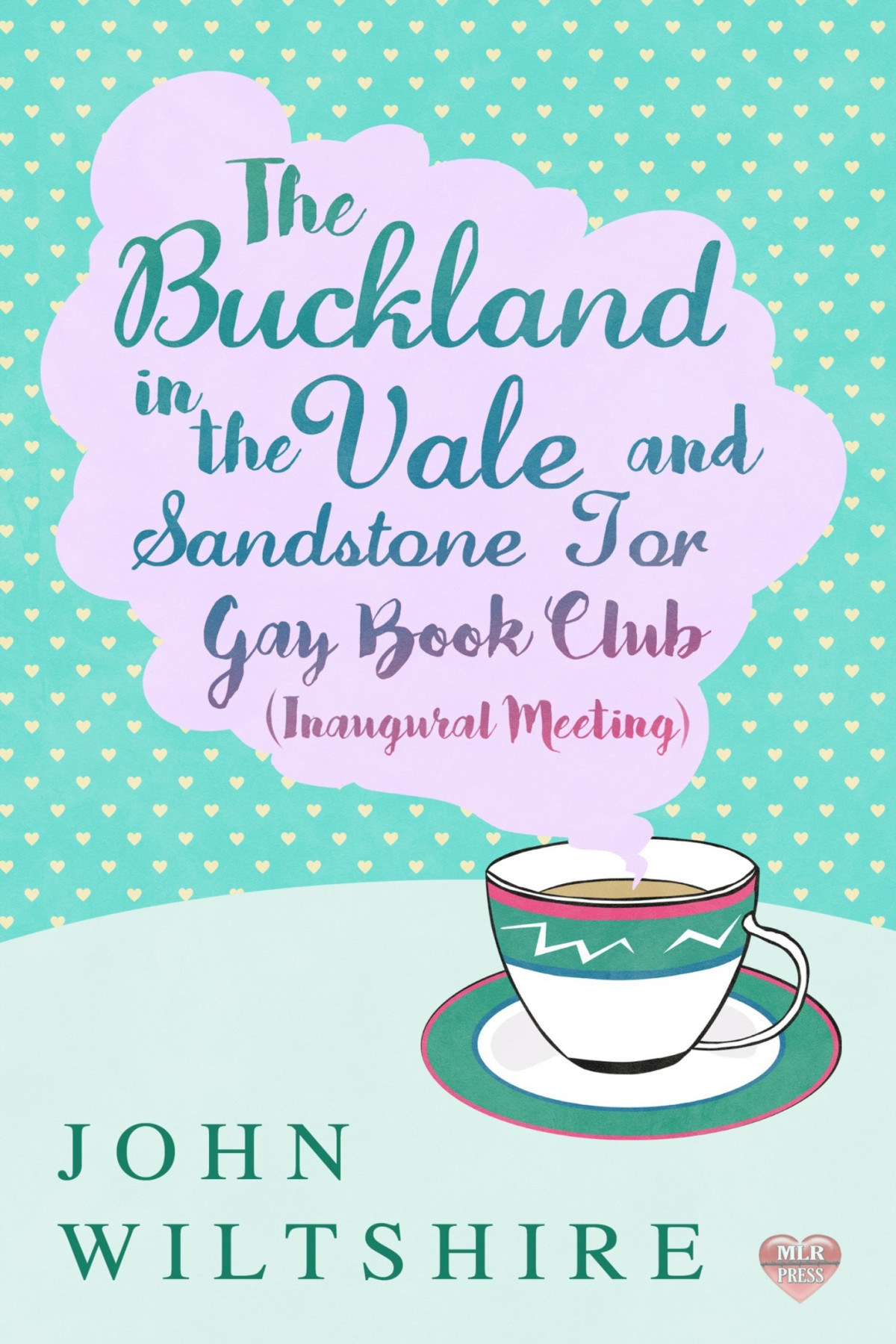 The Bucklandinthevale And Sandstone Tor Gay Book Club Inaugural Meeting John Wiltshire