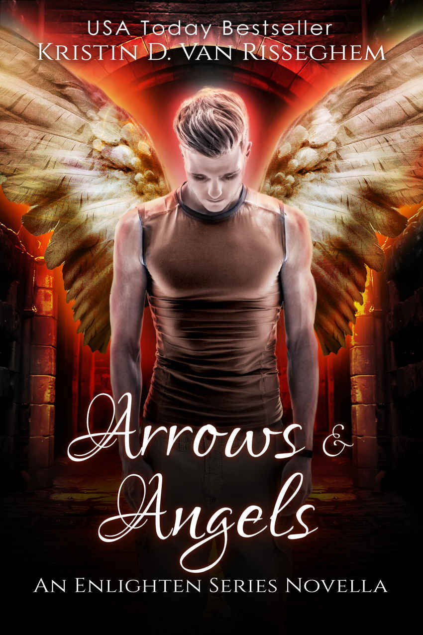 Arrows Angels Enlighten Series Book 0 Kristin D Van Risseghem