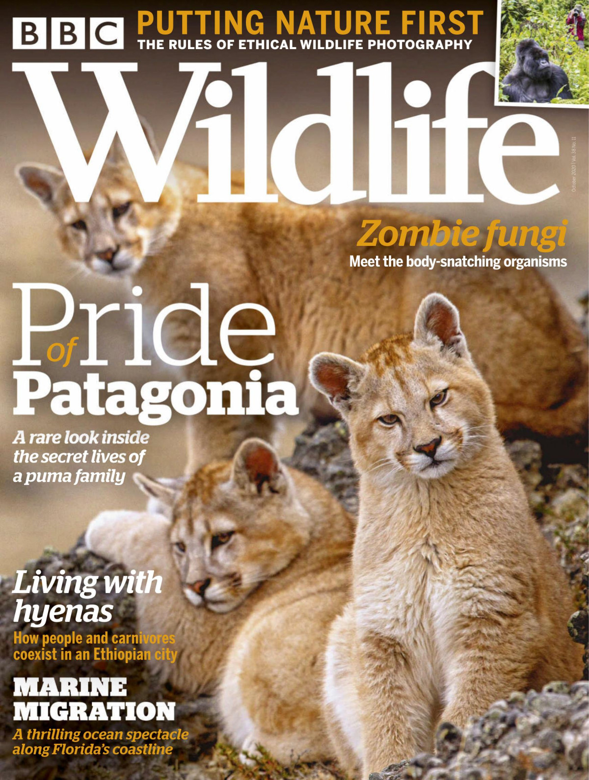 Bbc Wildlife October 2020 Bbc