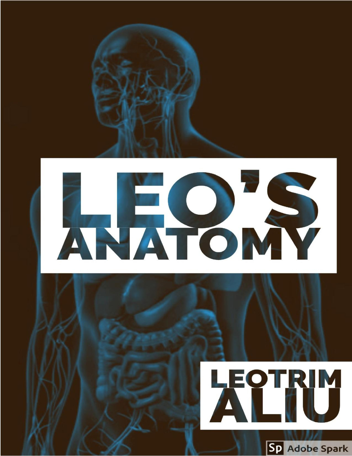 Leos Anatomy 1st Edition Leotrim Aliu
