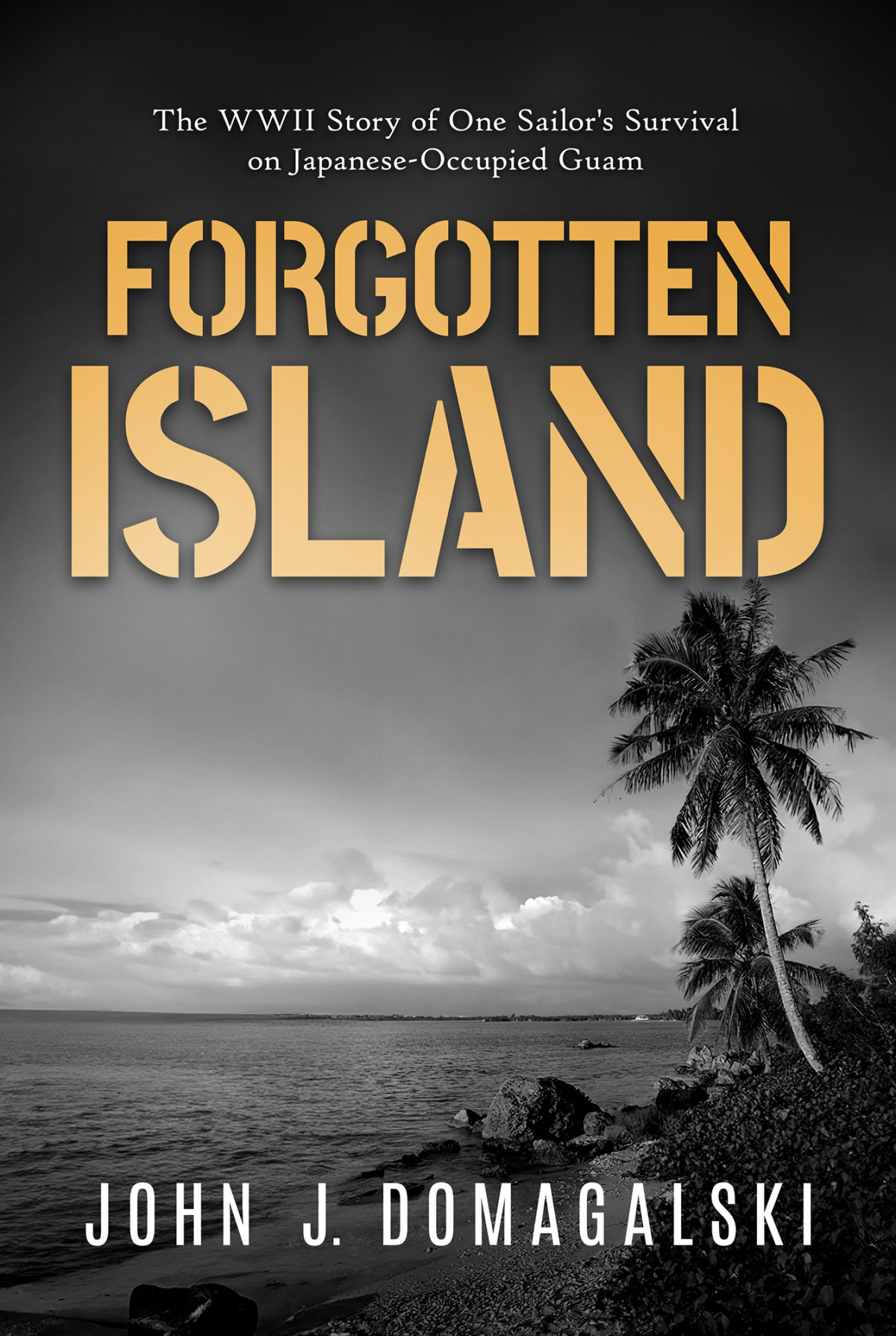 Forgotten Island The Wwii Story Of One Sailors Survival On Japaneseoccupied Guam John J Domagalski