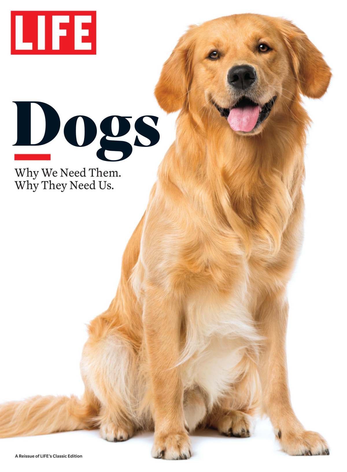 Life Dogs Life