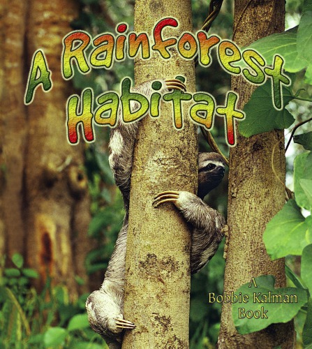 A Rainforest Habitat Aloian Mollykalman Bobbie