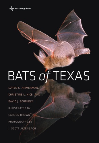Bats Of Texas New Ed Altenbach Joe Scottammerman Loren Kbrown