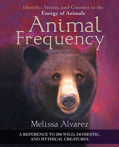 Animal Frequency Identify Attune And Connect To The Energy Of Animals First Edition Melissa Alvarez