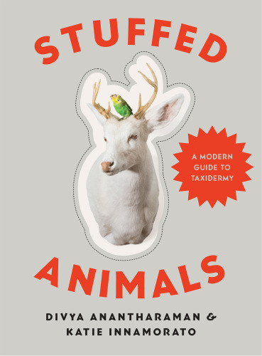 Stuffed Animals A Modern Guide To Taxidermy Divya Anantharaman
