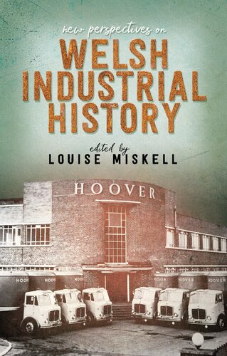 New Perspectives On Welsh Industrial History Louise Miskell