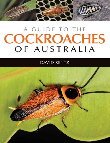 A Guide To The Cockroaches Of Australia Op David Rentz