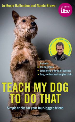 Teach My Dog To Do That Jorosie Haffenden Nando Brown