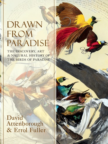 Drawn From Paradise The Discovery Art And Natural History Of The Birds Of Paradise Sir David Attenborough