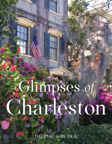 Glimpses Of Charleston David Avrutick