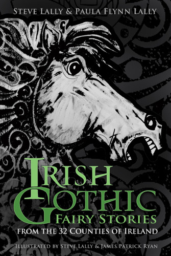 Irish Gothic Fairy Stories From The 32 Counties Of Ireland 1st Steve Lally