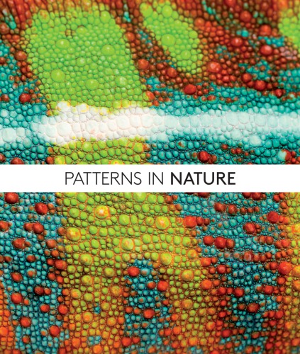 Patterns In Nature Why The Natural World Looks The Way It Does Ball