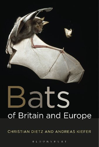 Bats Of Britain And Europe Christian Dietz