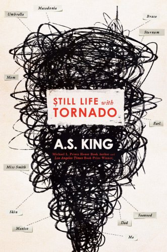 Still Life With Tornado King Amy Sarig