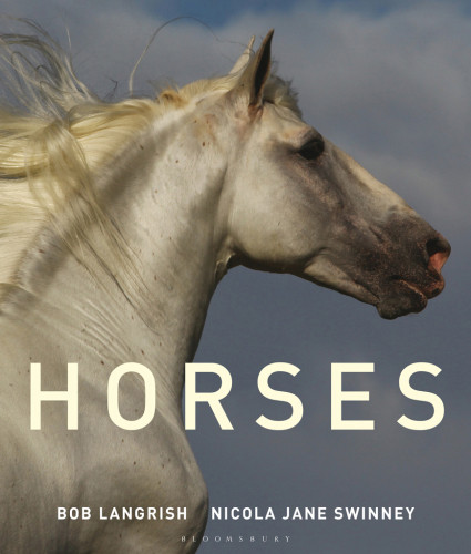 Horses Nicola Jane Swinney