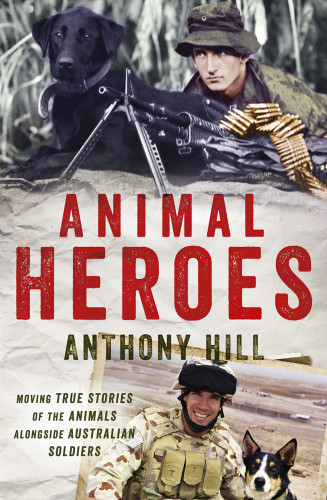 Animal Heroes Animals Alongside Australian Soldiers Anthony Hill