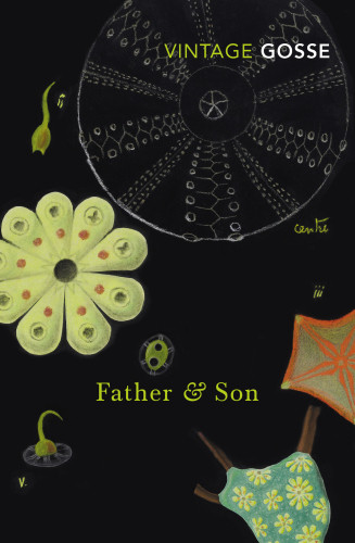 Father And Son Gosse Edmundgosse Philip Henry