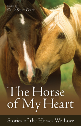 The Horse Of My Heart Stories Of The Horses We Love Illustrated Callie Smith Grant