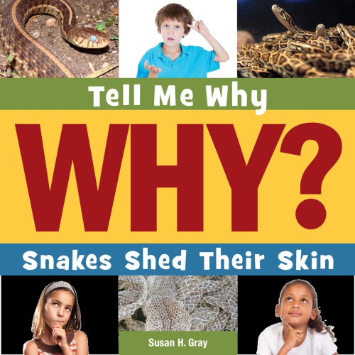Snakes Shed Their Skin Gray Susan Heinrichs