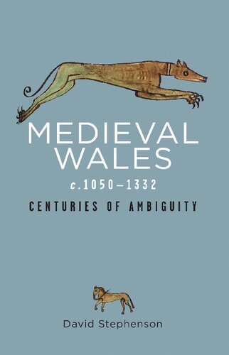 Medieval Wales C10501332 Centuries Of Ambiguity David Stephenson