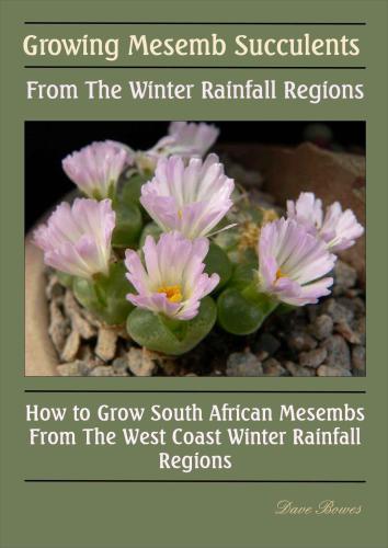 Growing Mesemb Succulents From The Winter Rainfall Regions Bowes