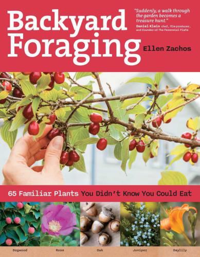 Backyard Foraging 65 Familiar Plants You Didnt Know You Could Eat Ellen Zachos