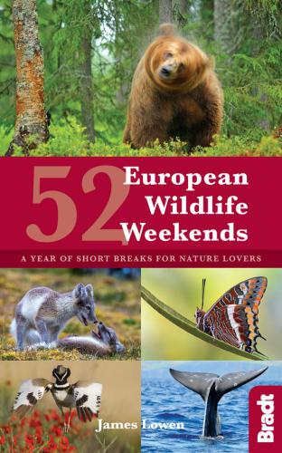 52 European Wildlife Weekends 2018 A Year Of Short Breaks For Nature Lovers Lowen