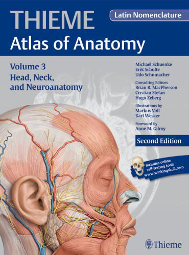 Head Neck And Neuroanatomy 2nd Edition Michael Schuenke Erik Schulte