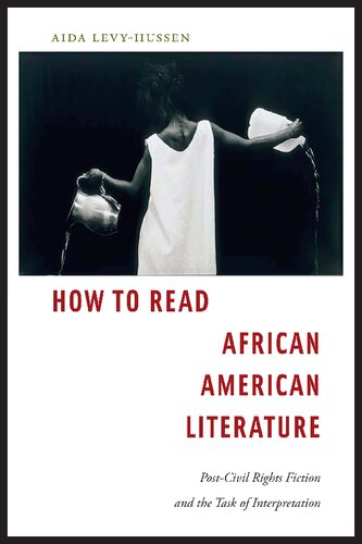 How To Read African American Literature Postcivil Rights Fiction And The Task Of Interpretation Aida Levyhussen